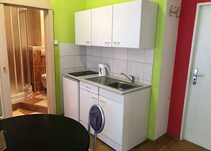 Orchidej U Vřídla