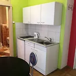 Orchidej U Vřídla