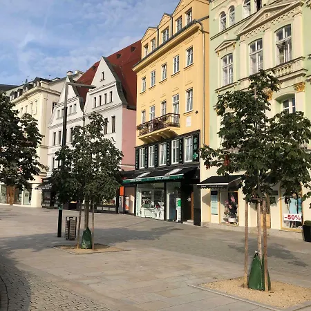 Апартаменты Orchidej U Vridla Карловы Вары